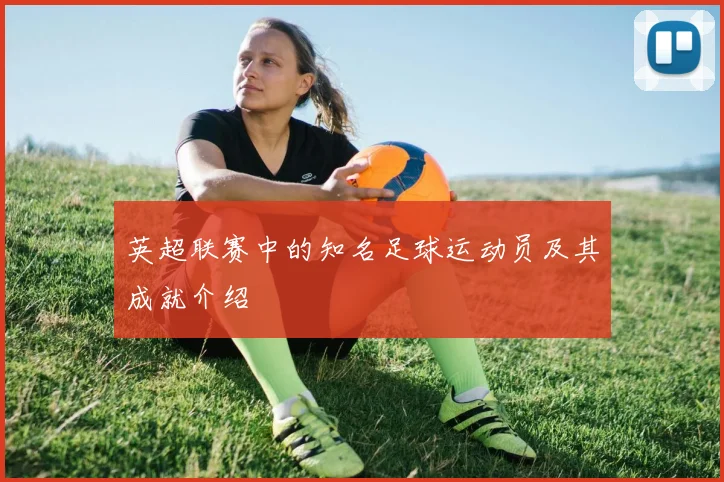 英超联赛中的知名足球运动员及其成就介绍