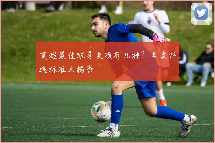 英超最佳球员奖项有几种？年度评选标准大揭密