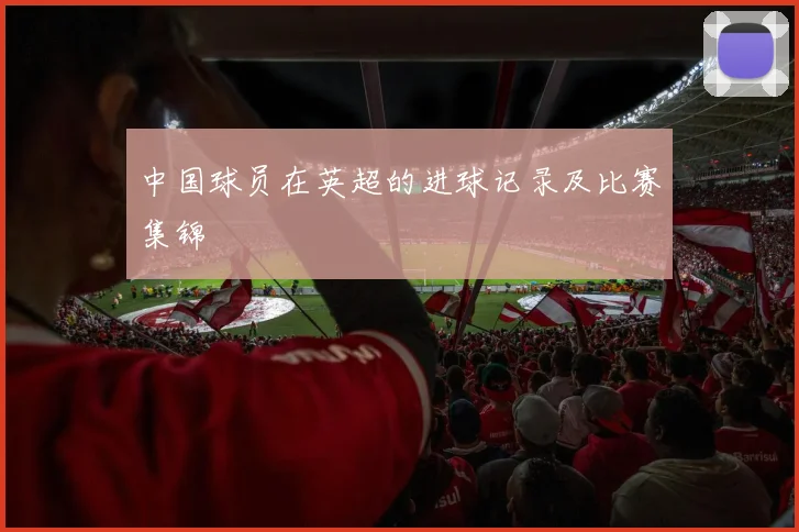中国球员在英超的进球记录及比赛集锦