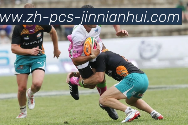 金年会体育全站App